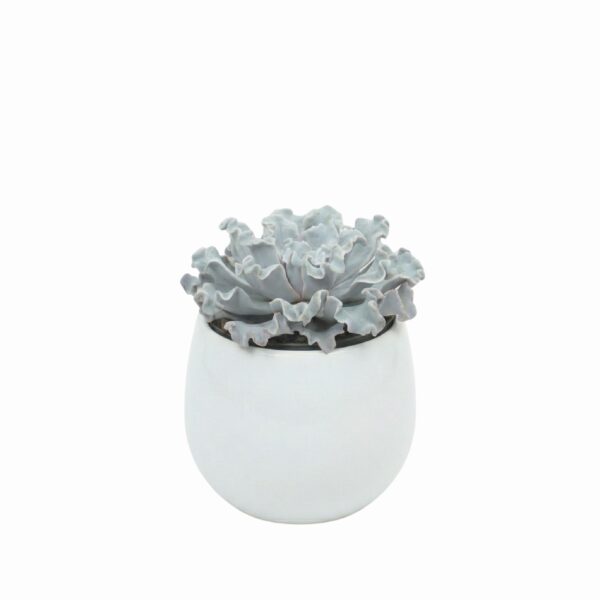 Soomuslehik 'Crispy Beauty' P13