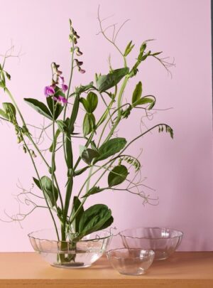 Kauss Zinnia Ø22,5x h8,5cm