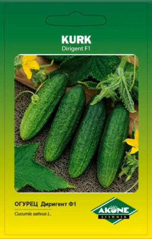 Kurk ‘Dirigent F1’ 10s