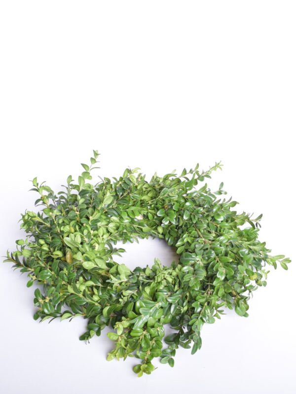 Naturaalne pukspuupärg 27cm