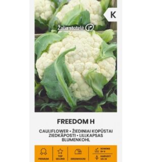 Lillkapsas ‘Freedom H’