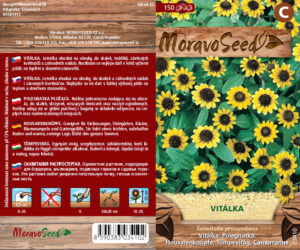 Lamav sanvitalia, kollane