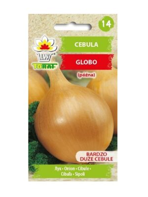 Harilik sibul ‘Globo’ 2g