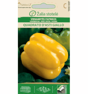 Paprika ‘Quadrato d’sti Giallo’