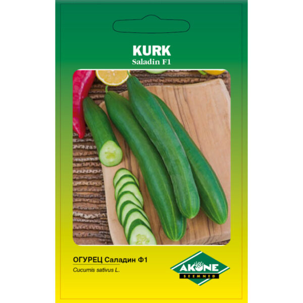 Kurk 'Saladin' F1, 10 tk.