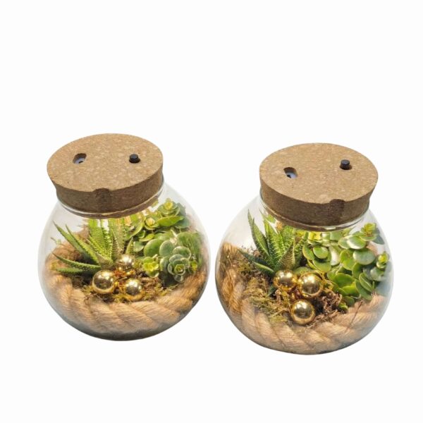 Terraariumiseade valgusega