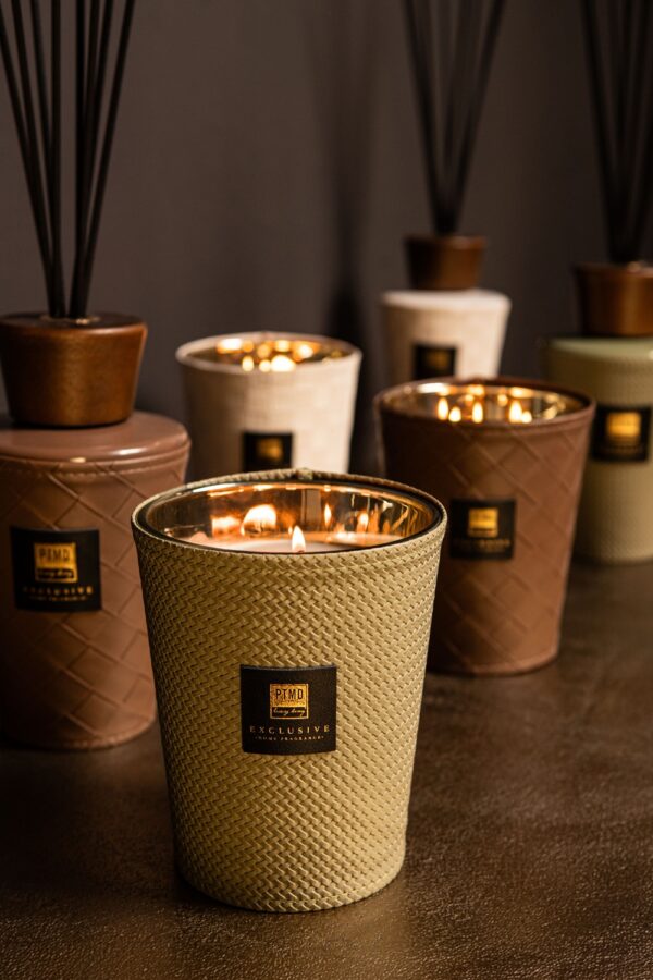 Difuuser PTMD Exclusive Oak & Blackcurrant 300ml