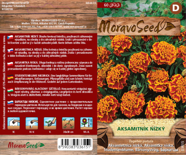 Madal peiulill täidis oranž