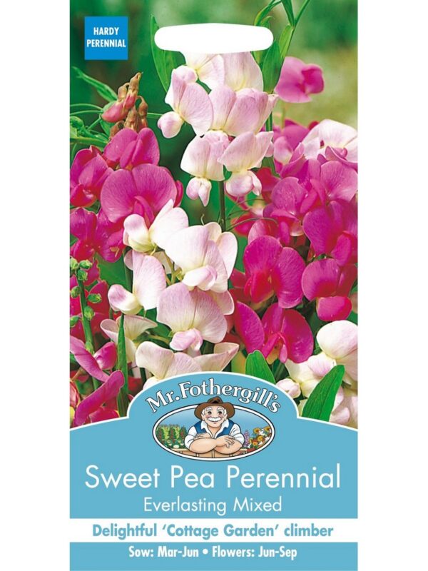 Laialehine seahernes segu Everlasting