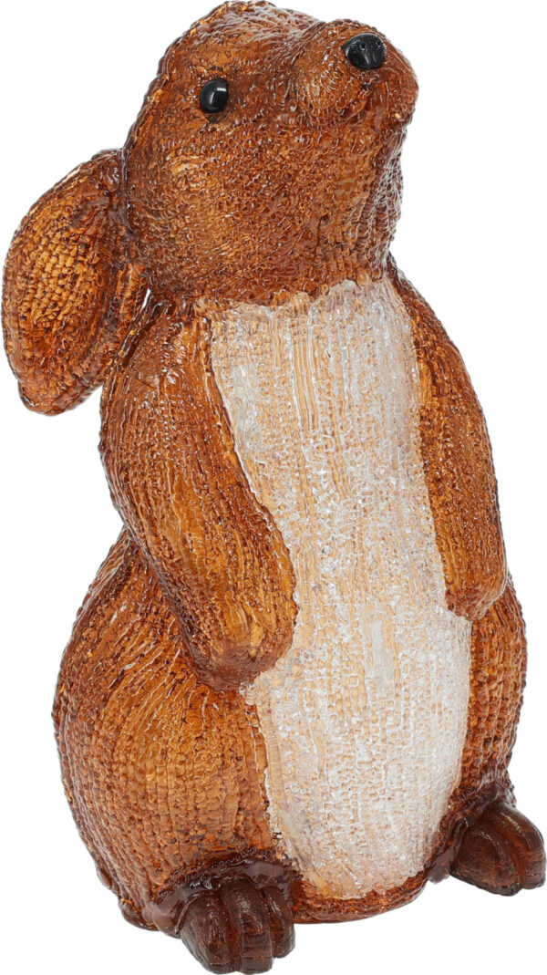 Loom orav või jänes 30LED erinevad, 1tk