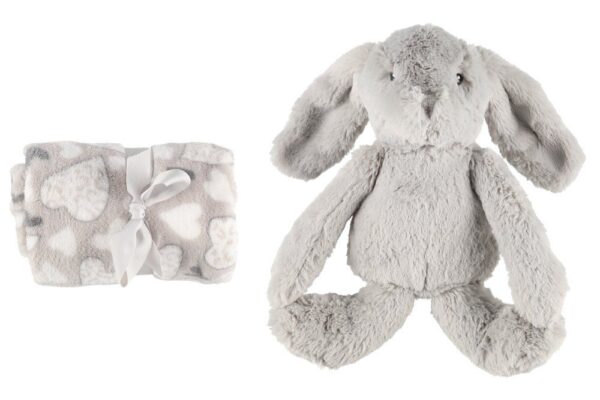 Pleed ja mänguasi 75x100cm