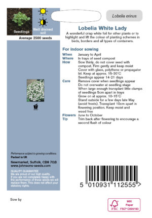 Lobeelia ‘White Lady’ 2500s