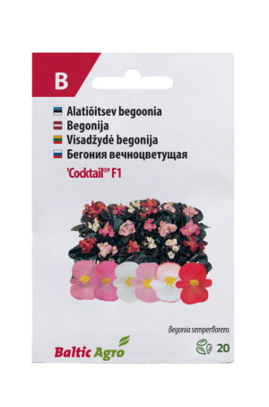Begoonia ‘Cocktail’ 20s