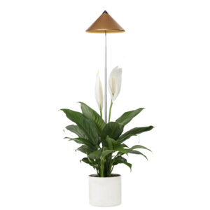 Taimelamp Sunlite 7W 120° vaskne