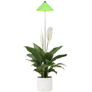 Taimelamp Sunlite 7W 120° roheline