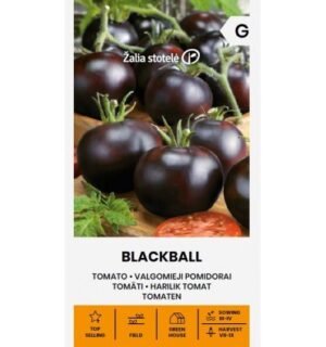 Tomat ‘Blackball’