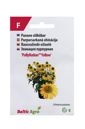 Siilkübar ‘PollyNation Yellow’ 5s