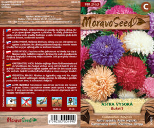 Aedaster segu Bukett