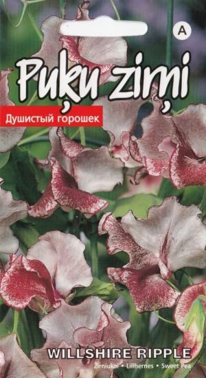 Lillhernes ‘Willshire Ripple’ 2g