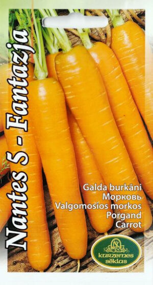 Porgand ‘Nantes 5-Fantazja’ 3g