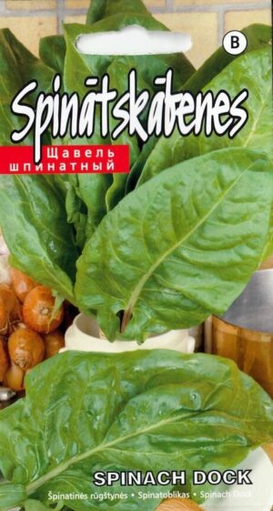 Spinatoblikas ‘Spinach Dock’ 1g