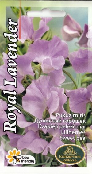 Lillhernes ‘Royal Lavender’