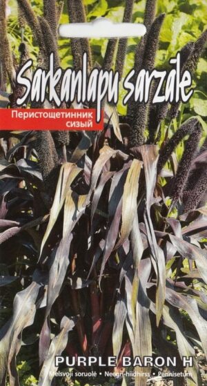 Ameerika hiidhirss ‘Purple Baron’ 5s