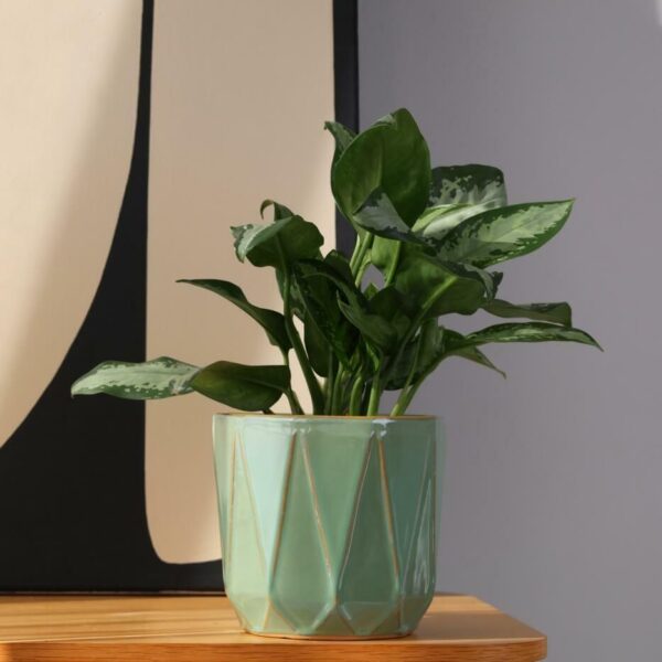 Lillepott Mood Ø25x h22cm roheline