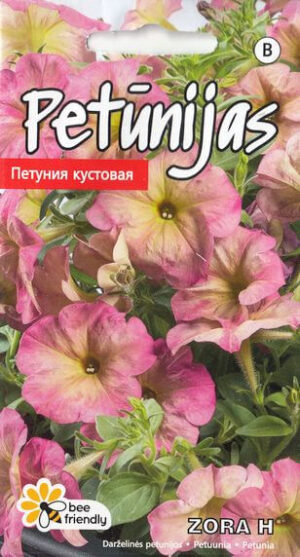 Petuunia ‘Zora H’ 15s