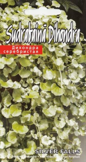 Kard-hõbepael ‘Silver Falls’ 5s