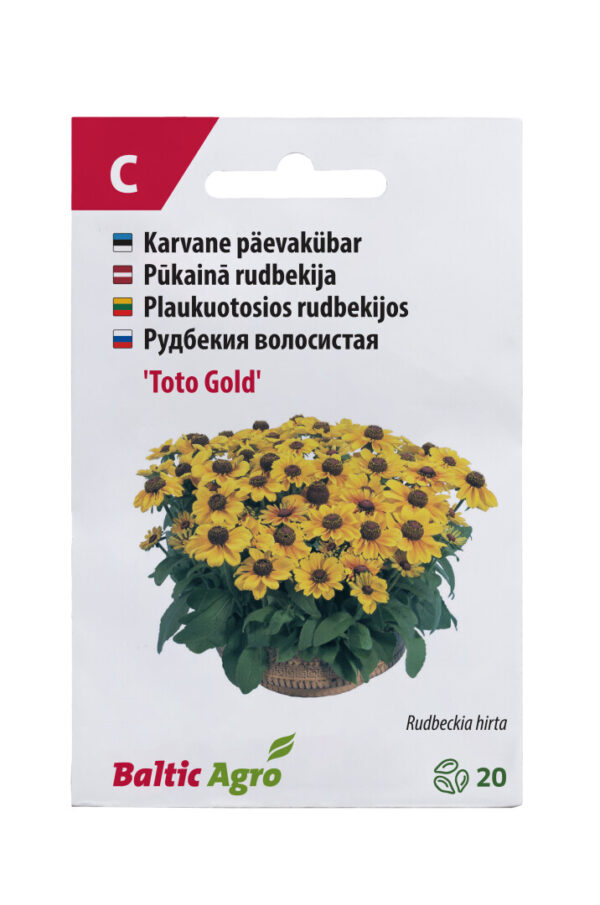 Päevakübar 'Toto Gold' 20s