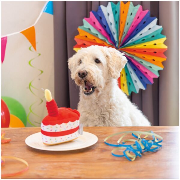 Mänguasi koerale kook 19cm