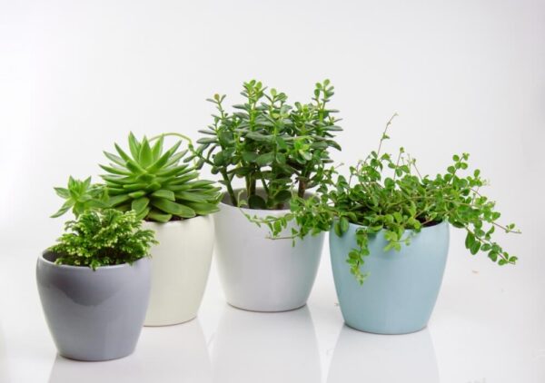 Lillepott Barcelona Ø14x h13cm hall