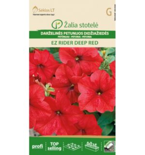 Petuunia ‘Easy Rider Deep Red’