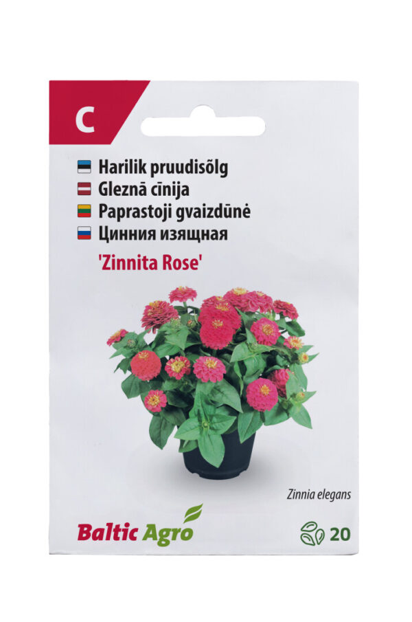 Pruudisõlg 'Zinnita Rose' 20s