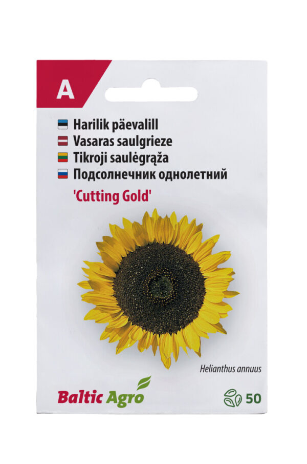 Päevalill 'Cutting Gold' 50s