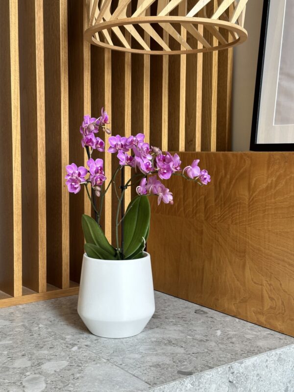 Lillepott Barcelona Ø15x h15cm valge matt