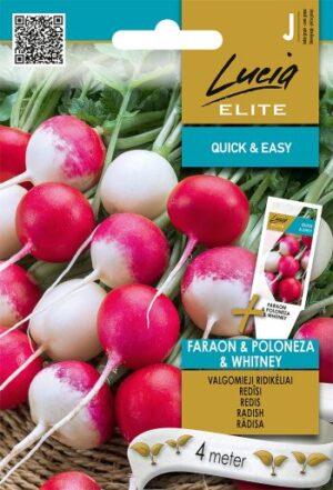 Redis ‘Faraon Poloneza Whitney’ seemnelint