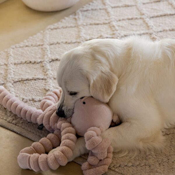 Mänguasi koerale jänes XL 62cm