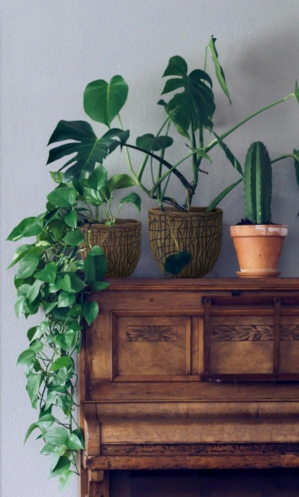 Lillepott Corcho Ø18x h18cm pruun