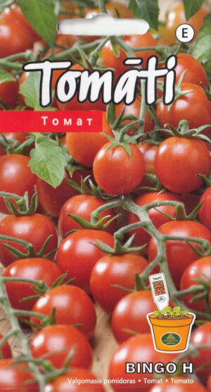 Tomat ‘Bingo H’ 0,1g