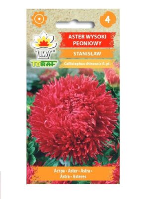 Pojengaster ‘Stanislaw’ 1g