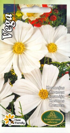 Kosmos ‘Vega valge’ 0,4g