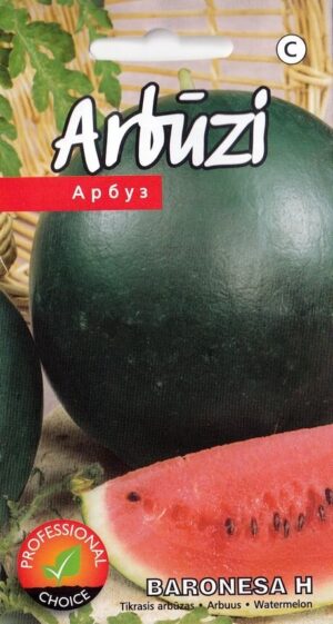 Arbuus ‘Baronesa’ H 5s