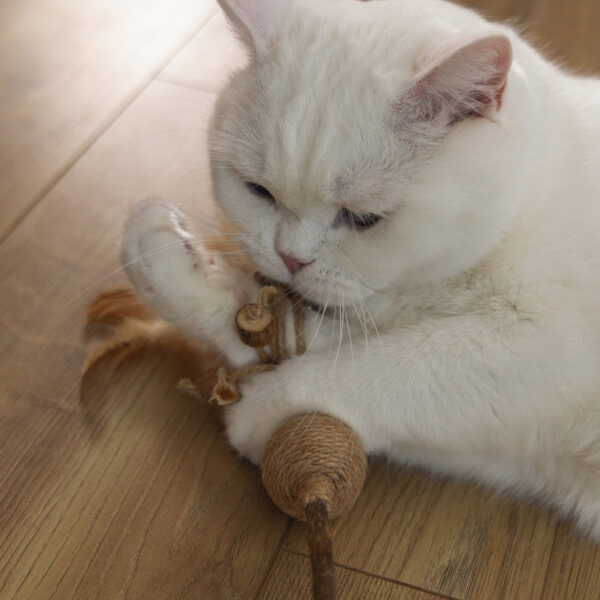 Mänguasi kassile Juto pall sulgedega 32cm