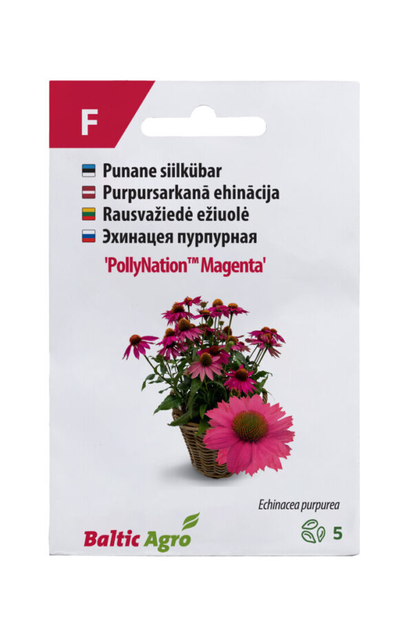 Siilkübar 'PollyNation Magenta' 5s