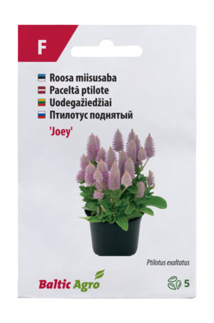 Miisusaba ‘Joey’ 5s