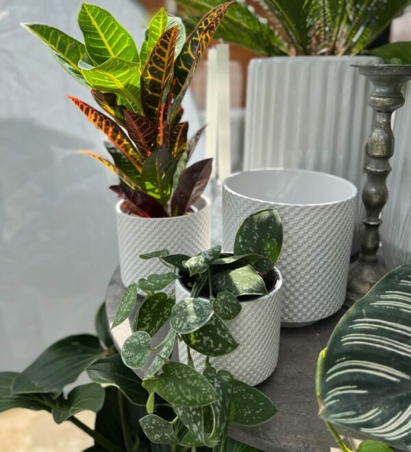 Lillepott Barcelona Ø20x h20cm valge