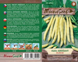 Aeduba ‘Blanche’