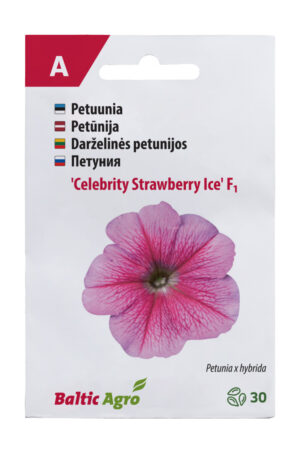 Petuunia ‘Celebrity Strawberry Ice’ 30 pilli